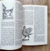 Jan Adamczewski Kraków od A do Z